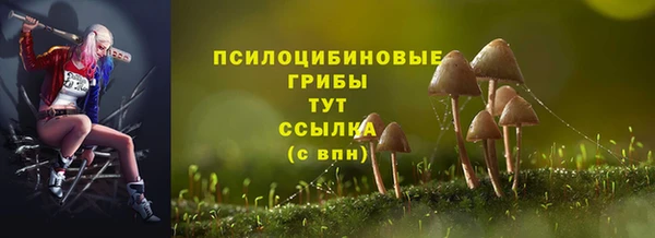 Альфа ПВП Иннополис