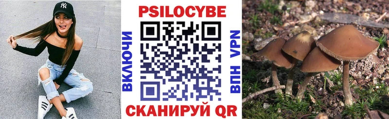 Купить закладки  Ачинск  Псилоцибиновые грибы Psilocybe 