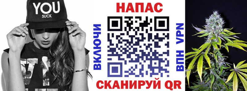 Бошки Шишки сатива  Купить закладки  Ачинск 